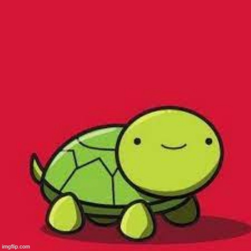 happy turtle | image tagged in happy turtle | made w/ Imgflip meme maker