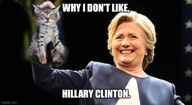 Clinton Smelly Cat | WHY I DON’T LIKE, HILLARY CLINTON. | image tagged in clinton smelly cat | made w/ Imgflip meme maker