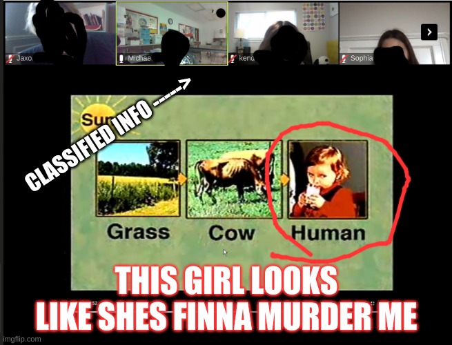 In Class "Learing" About Food Chains (Even Though We Learned 5 Years Ago) | CLASSIFIED INFO ----->; THIS GIRL LOOKS LIKE SHES FINNA MURDER ME | image tagged in food | made w/ Imgflip meme maker