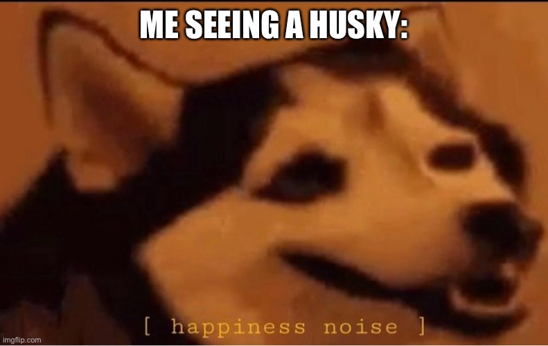 happines noise | ME SEEING A HUSKY: | image tagged in happines noise | made w/ Imgflip meme maker