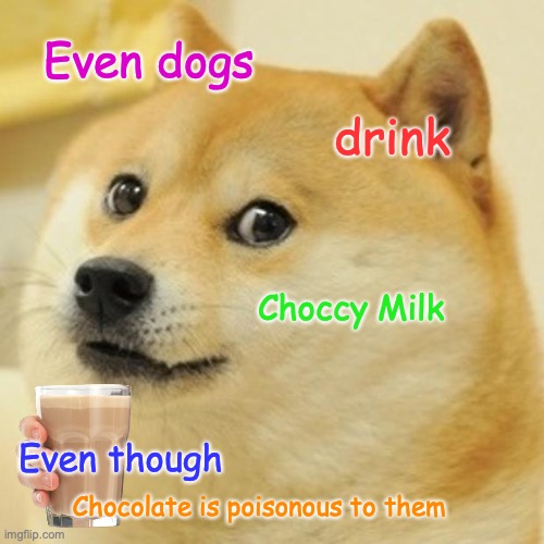 Doge | Even dogs; drink; Choccy Milk; Even though; Chocolate is poisonous to them | image tagged in memes,doge | made w/ Imgflip meme maker