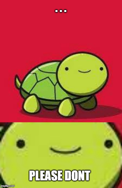 . . . PLEASE DONT | image tagged in happy turtle | made w/ Imgflip meme maker
