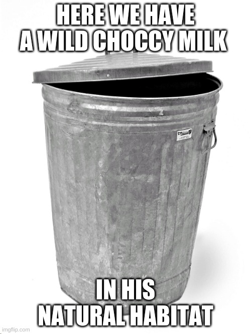 Trash Can | HERE WE HAVE A WILD CHOCCY MILK; IN HIS NATURAL HABITAT | image tagged in trash can | made w/ Imgflip meme maker