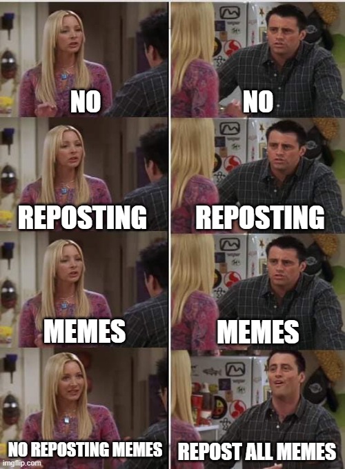 No reposting memes | NO; NO; REPOSTING; REPOSTING; MEMES; MEMES; NO REPOSTING MEMES; REPOST ALL MEMES | image tagged in phoebe joey | made w/ Imgflip meme maker