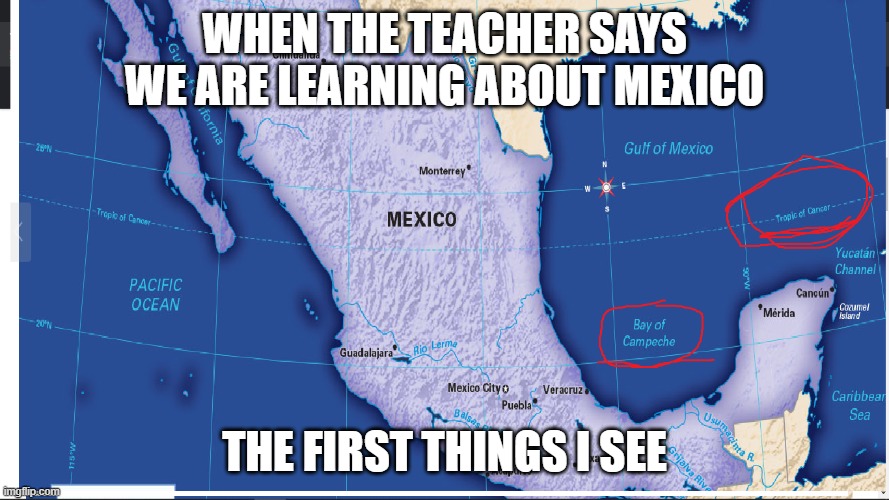 hehe | WHEN THE TEACHER SAYS WE ARE LEARNING ABOUT MEXICO; THE FIRST THINGS I SEE | image tagged in hahaha | made w/ Imgflip meme maker