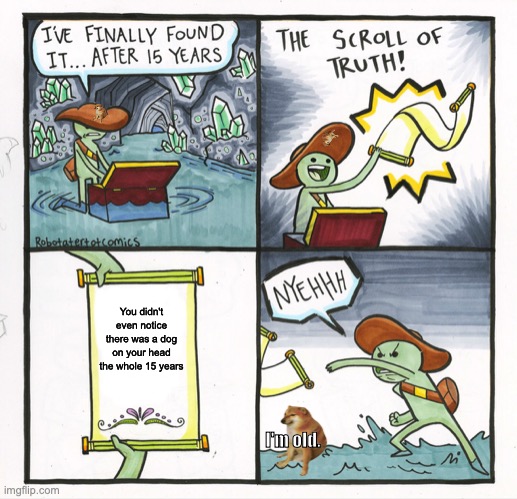 The Scroll Of Truth Meme | You didn't even notice there was a dog on your head the whole 15 years; I'm old. | image tagged in memes,the scroll of truth | made w/ Imgflip meme maker