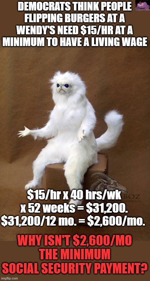 The minimum S/S payment is $849/mo. The average for a person retiring at 70 is $1,649. | DEMOCRATS THINK PEOPLE FLIPPING BURGERS AT A WENDY'S NEED $15/HR AT A MINIMUM TO HAVE A LIVING WAGE; $15/hr x 40 hrs/wk x 52 weeks = $31,200. $31,200/12 mo. = $2,600/mo. WHY ISN'T $2,600/MO THE MINIMUM SOCIAL SECURITY PAYMENT? | image tagged in memes,persian cat room guardian single | made w/ Imgflip meme maker