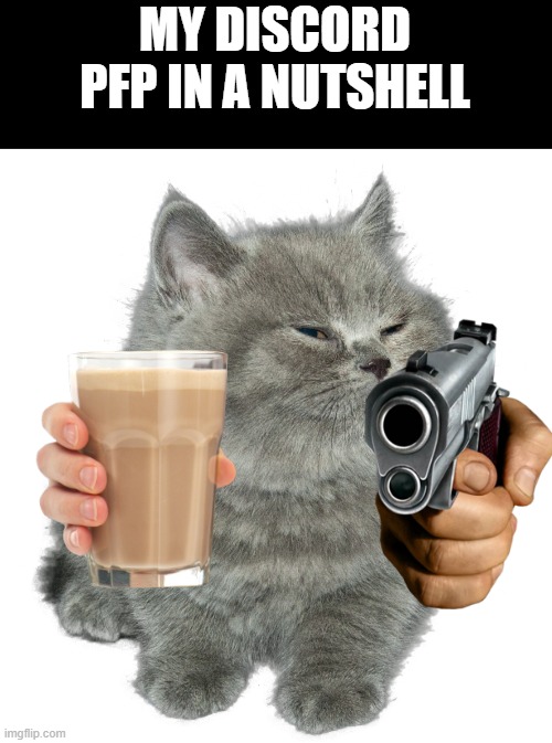 Little Grey Cat | MY DISCORD PFP IN A NUTSHELL | image tagged in little grey cat | made w/ Imgflip meme maker