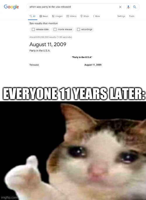 wow what a long way we have come | EVERYONE 11 YEARS LATER: | image tagged in sad cat thumbs up | made w/ Imgflip meme maker