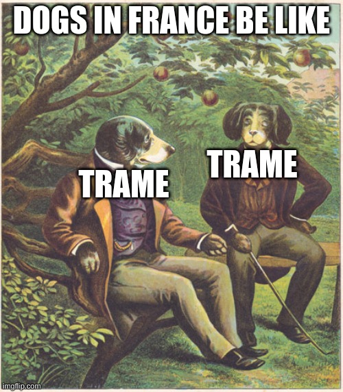 woof in french means trame lol | DOGS IN FRANCE BE LIKE; TRAME; TRAME | image tagged in dogs talking | made w/ Imgflip meme maker