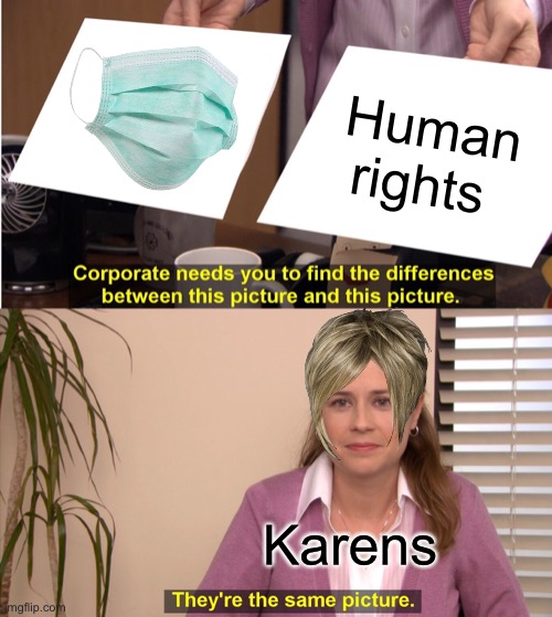 They're The Same Picture Meme | Human rights; Karens | image tagged in memes,they're the same picture | made w/ Imgflip meme maker