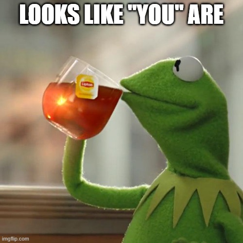 But That's None Of My Business Meme | LOOKS LIKE "YOU" ARE | image tagged in memes,but that's none of my business,kermit the frog | made w/ Imgflip meme maker