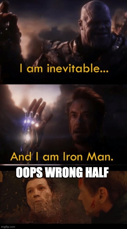 OOPS WRONG HALF | image tagged in i am iron man | made w/ Imgflip meme maker