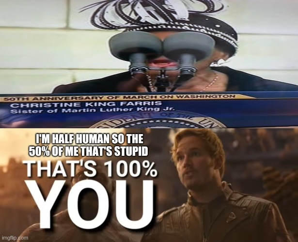 image tagged in star-lord i'm half human so the 50 of me that's stupid | made w/ Imgflip meme maker