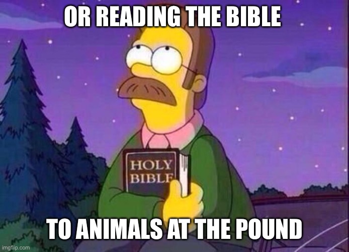 Ned Flanders and Bible | OR READING THE BIBLE TO ANIMALS AT THE POUND | image tagged in ned flanders and bible | made w/ Imgflip meme maker