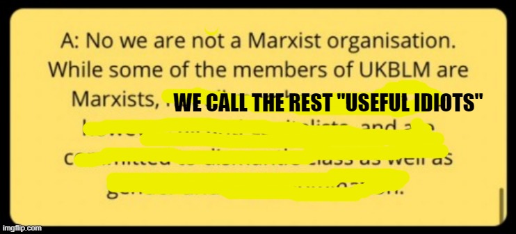 WE CALL THE REST "USEFUL IDIOTS" | made w/ Imgflip meme maker