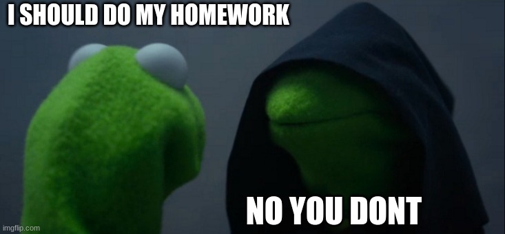 homework??? | I SHOULD DO MY HOMEWORK; NO YOU DONT | image tagged in memes,evil kermit | made w/ Imgflip meme maker