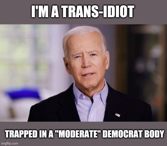 Joe Biden 2020 | I'M A TRANS-IDIOT; TRAPPED IN A "MODERATE" DEMOCRAT BODY | image tagged in joe biden 2020 | made w/ Imgflip meme maker