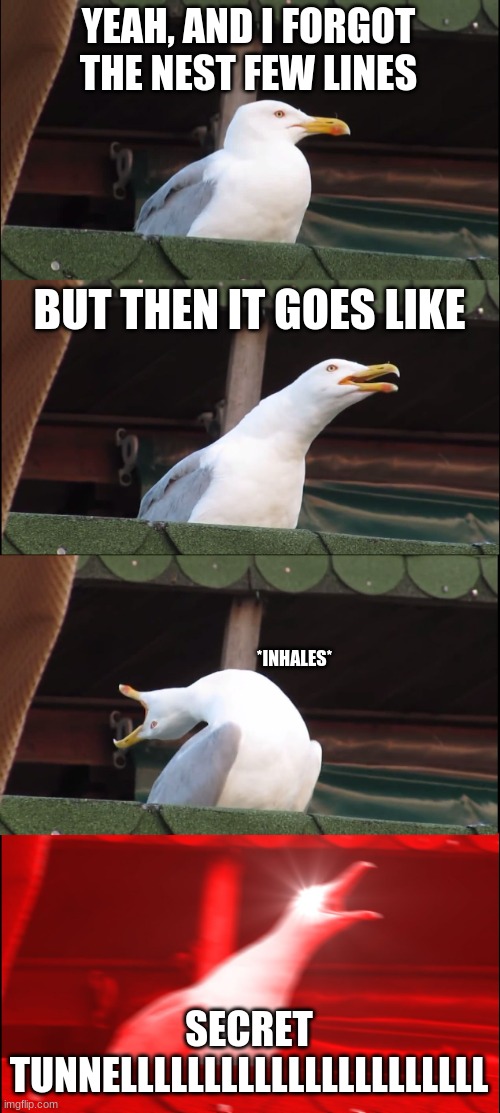Secret Tunnel. | YEAH, AND I FORGOT THE NEST FEW LINES; BUT THEN IT GOES LIKE; *INHALES*; SECRET TUNNELLLLLLLLLLLLLLLLLLLLLL | image tagged in memes,inhaling seagull | made w/ Imgflip meme maker