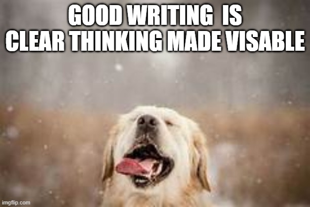 good writing | GOOD WRITING  IS CLEAR THINKING MADE VISABLE | image tagged in write,dog,motivation | made w/ Imgflip meme maker