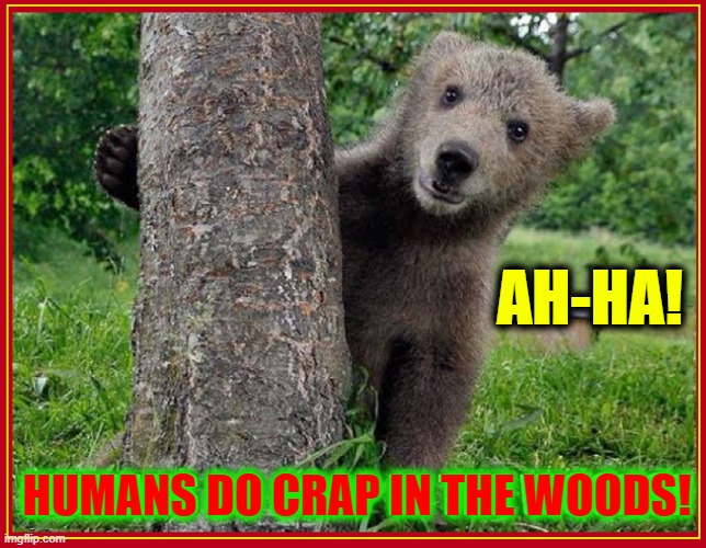 AH-HA! HUMANS DO CRAP IN THE WOODS! | image tagged in vince vance,bears,memes,baby bear,humans,in the woods | made w/ Imgflip meme maker