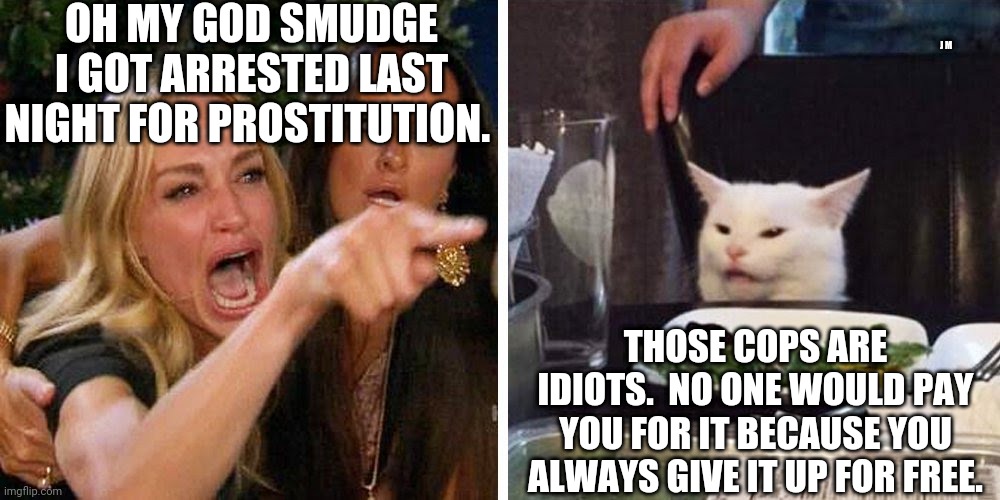 Smudge the cat | OH MY GOD SMUDGE I GOT ARRESTED LAST NIGHT FOR PROSTITUTION. J M; THOSE COPS ARE IDIOTS.  NO ONE WOULD PAY YOU FOR IT BECAUSE YOU ALWAYS GIVE IT UP FOR FREE. | image tagged in smudge the cat | made w/ Imgflip meme maker
