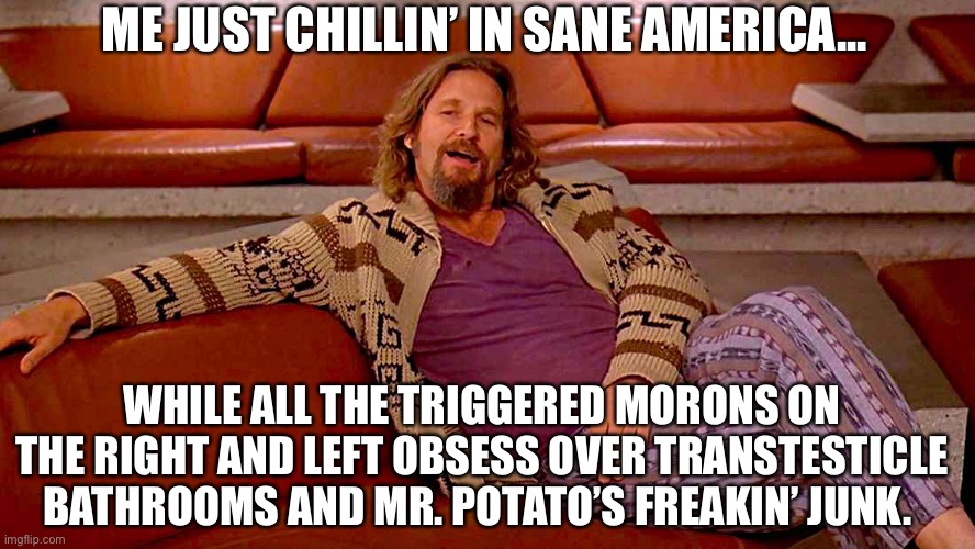 Unwoke Dude | ME JUST CHILLIN’ IN SANE AMERICA... WHILE ALL THE TRIGGERED MORONS ON THE RIGHT AND LEFT OBSESS OVER TRANSTESTICLE BATHROOMS AND MR. POTATO’S FREAKIN’ JUNK. | image tagged in big lebowski,political correctness,mr potato head | made w/ Imgflip meme maker
