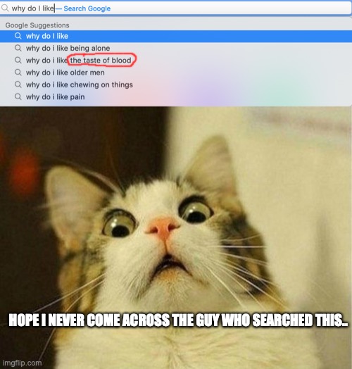 Why do I like search results | HOPE I NEVER COME ACROSS THE GUY WHO SEARCHED THIS.. | image tagged in memes,scared cat | made w/ Imgflip meme maker