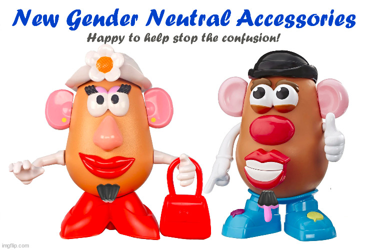 Gender Neutral Mr Potato Head, Mrs Potato Head | image tagged in gender neutral,mr potato head,mrs potato head | made w/ Imgflip meme maker