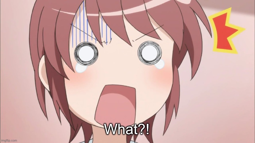 Anime Surprised Face | What?! | image tagged in anime surprised face | made w/ Imgflip meme maker