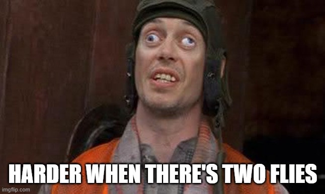 Crazy Eyes | HARDER WHEN THERE'S TWO FLIES | image tagged in crazy eyes | made w/ Imgflip meme maker