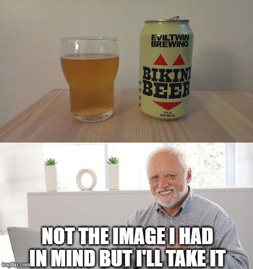 NOT THE IMAGE I HAD IN MIND BUT I'LL TAKE IT | image tagged in hide the pain harold,beer,bikini,drink beer,cold beer here,craft beer | made w/ Imgflip meme maker