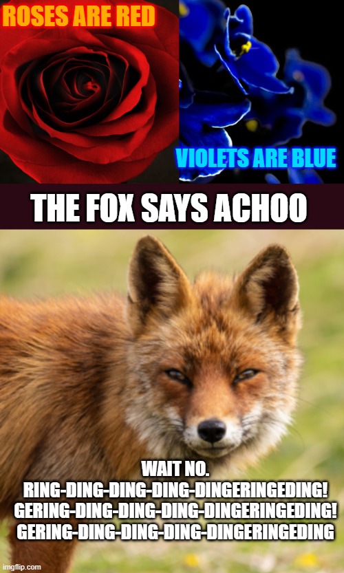 ROSES ARE RED; VIOLETS ARE BLUE; THE FOX SAYS ACHOO; WAIT NO.
RING-DING-DING-DING-DINGERINGEDING!
GERING-DING-DING-DING-DINGERINGEDING!
GERING-DING-DING-DING-DINGERINGEDING | image tagged in roses are red violets are blue,what does the fox say,sneeze,fox | made w/ Imgflip meme maker