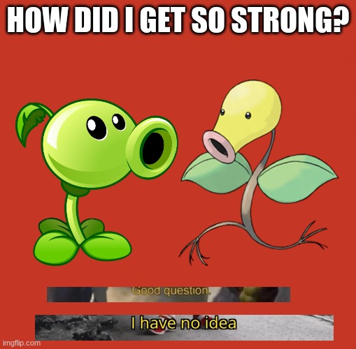 Peashooter and Bellsprout | HOW DID I GET SO STRONG? | image tagged in peashooter and bellsprout | made w/ Imgflip meme maker
