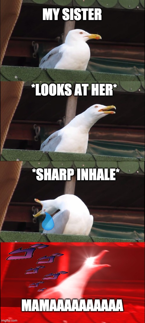 Inhaling Seagull | MY SISTER; *LOOKS AT HER*; *SHARP INHALE*; MAMAAAAAAAAAA | image tagged in memes,inhaling seagull | made w/ Imgflip meme maker