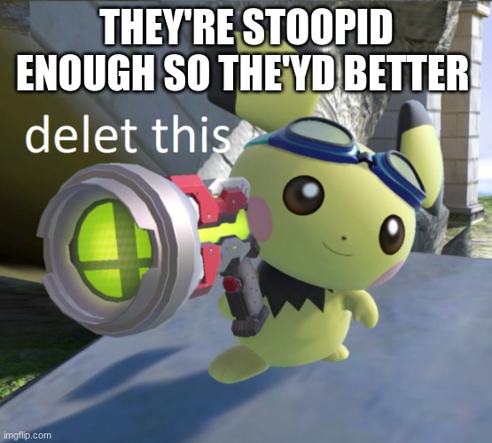 Delet this pichu | THEY'RE STOOPID ENOUGH SO THE'YD BETTER | image tagged in delet this pichu | made w/ Imgflip meme maker
