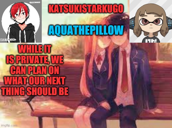 KatsukiStarkugoXAquathepillow | WHILE IT IS PRIVATE, WE CAN PLAN ON WHAT OUR NEXT THING SHOULD BE | image tagged in katsukistarkugoxaquathepillow | made w/ Imgflip meme maker