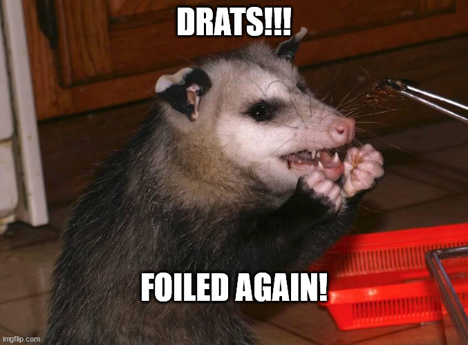 Drats! | DRATS!!! FOILED AGAIN! | image tagged in possum | made w/ Imgflip meme maker
