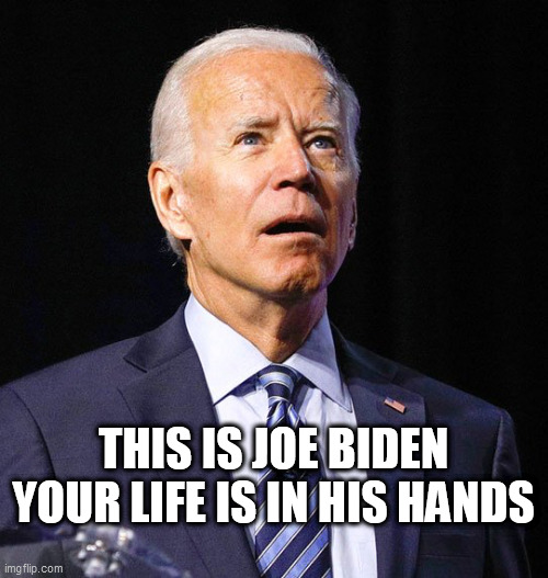 Joe Biden | THIS IS JOE BIDEN
YOUR LIFE IS IN HIS HANDS | image tagged in joe biden | made w/ Imgflip meme maker
