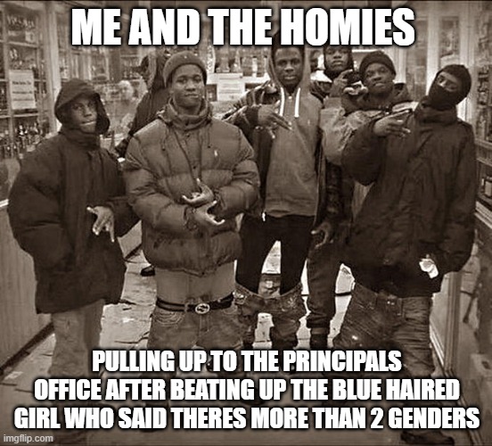 All My Homies Hate | ME AND THE HOMIES; PULLING UP TO THE PRINCIPALS OFFICE AFTER BEATING UP THE BLUE HAIRED GIRL WHO SAID THERES MORE THAN 2 GENDERS | image tagged in all my homies hate | made w/ Imgflip meme maker