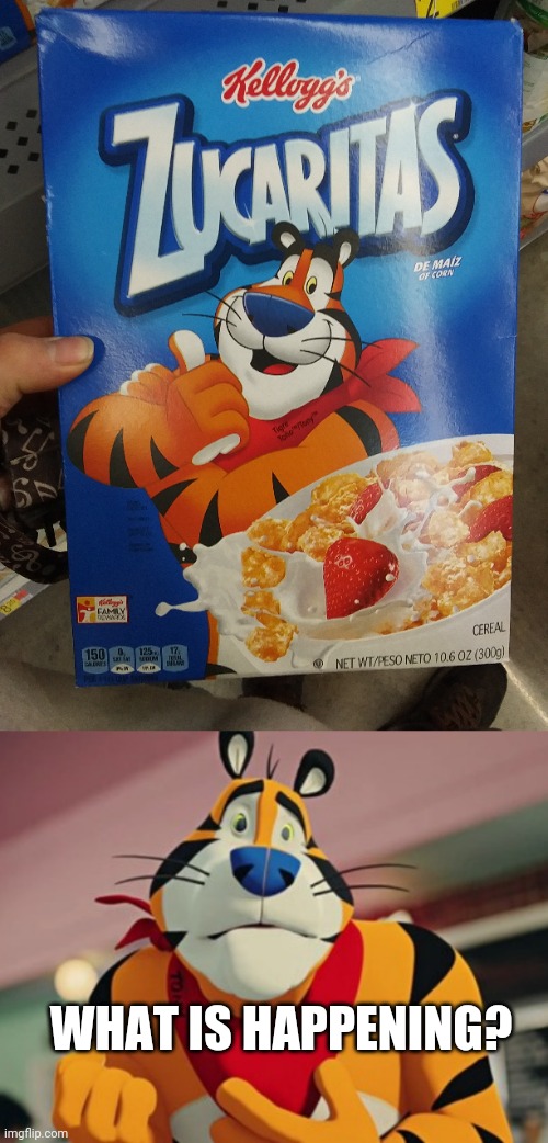 MEXICAN FROSTED FLAKES | WHAT IS HAPPENING? | image tagged in frosted flakes,tony the tiger,cereal | made w/ Imgflip meme maker