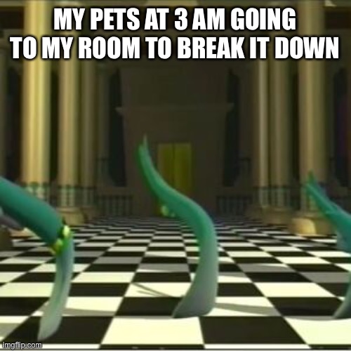 Try to sleep after this | MY PETS AT 3 AM GOING TO MY ROOM TO BREAK IT DOWN | image tagged in memes | made w/ Imgflip meme maker