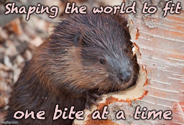 Leave it to Beaver, and soon every tree will have a perfect face-shaped nook | Shaping the world to fit; one bite at a time | image tagged in beaver's art project,beaver,bite,tree,art,comfort | made w/ Imgflip meme maker
