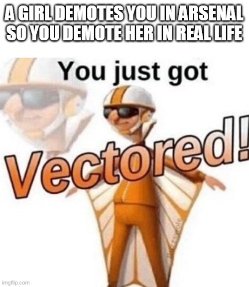 YES KILL WOMAN | A GIRL DEMOTES YOU IN ARSENAL
SO YOU DEMOTE HER IN REAL LIFE | image tagged in you just got vectored | made w/ Imgflip meme maker