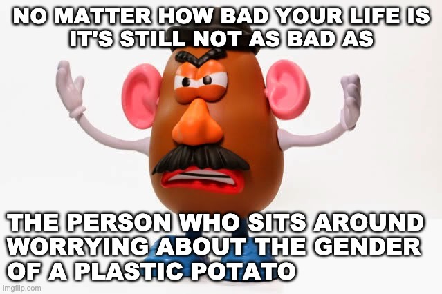 Mr. Potato Head angry | NO MATTER HOW BAD YOUR LIFE IS
IT'S STILL NOT AS BAD AS; THE PERSON WHO SITS AROUND
WORRYING ABOUT THE GENDER
OF A PLASTIC POTATO | image tagged in mr potato head angry | made w/ Imgflip meme maker