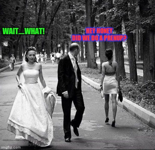 Prenup? Yup! | WAIT....WHAT! HEY HONEY
DID WE DO A PRENUP? | image tagged in distracted husband,wedding | made w/ Imgflip meme maker