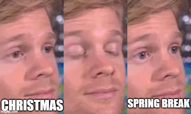 time flies | SPRING BREAK; CHRISTMAS | image tagged in eye blink meme | made w/ Imgflip meme maker