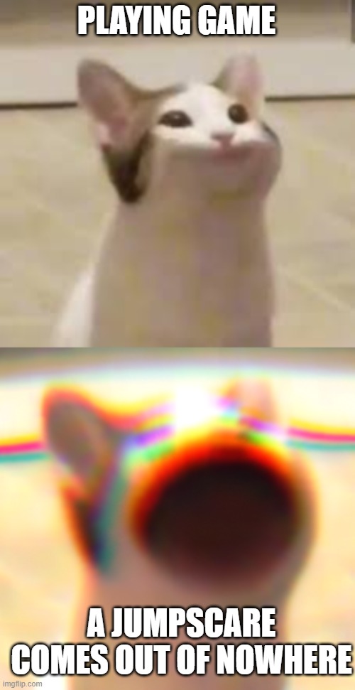 Pop cat | PLAYING GAME; A JUMPSCARE COMES OUT OF NOWHERE | image tagged in memes,funny,scared cat,jumpscare,scream | made w/ Imgflip meme maker
