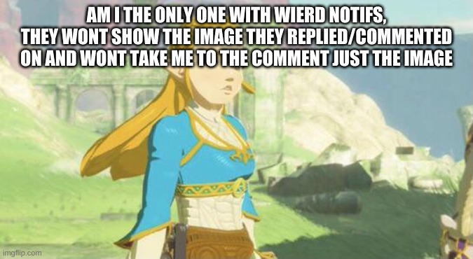 Judging zelda | AM I THE ONLY ONE WITH WIERD NOTIFS, THEY WONT SHOW THE IMAGE THEY REPLIED/COMMENTED ON AND WONT TAKE ME TO THE COMMENT JUST THE IMAGE | image tagged in judging zelda | made w/ Imgflip meme maker
