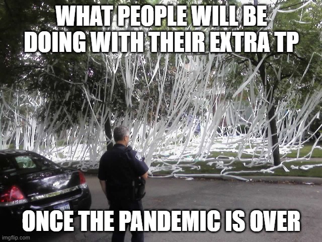TP PARTY! | WHAT PEOPLE WILL BE DOING WITH THEIR EXTRA TP; ONCE THE PANDEMIC IS OVER | image tagged in no more toilet paper,toilet paper,tp,pandemic | made w/ Imgflip meme maker